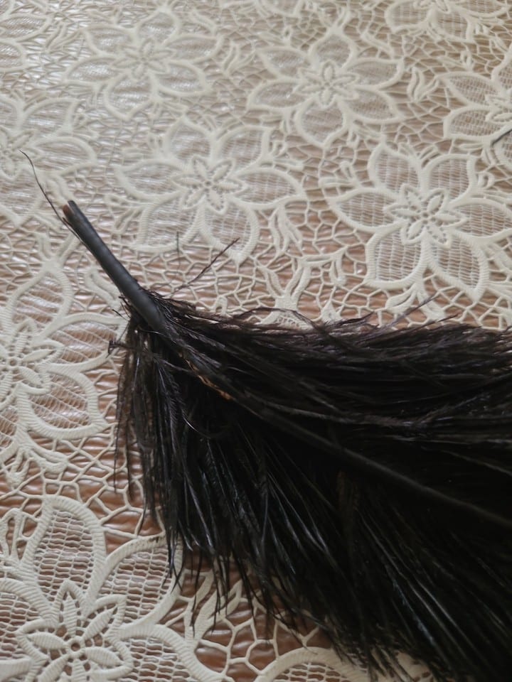 Plume D Autruche — photo 4