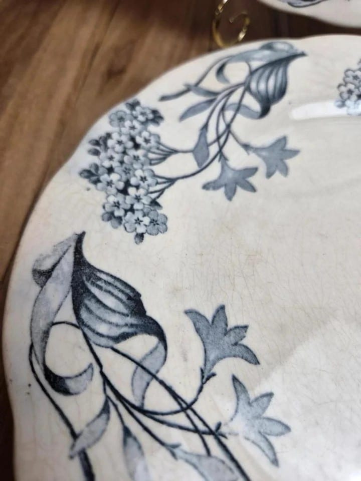 Lot de 2 assiettes terre de fer Longchamp modèle Lila Art nouveau 22 cm — photo 4