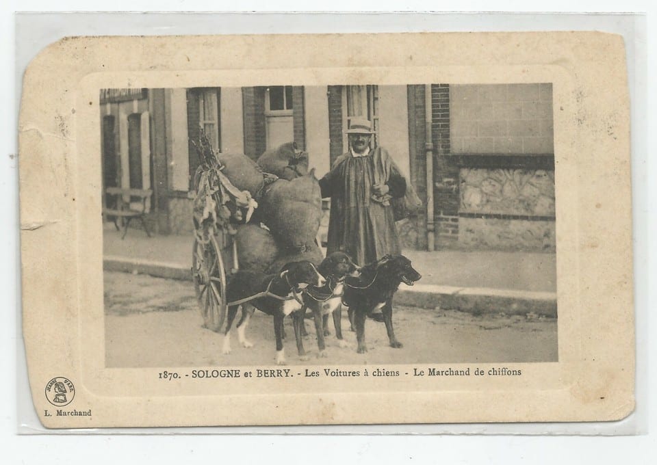 C.P.A / THÈME / EN SOLOGNE / LE MARCHAND DE CHIFFONS / LES VOITURES A CHIENS