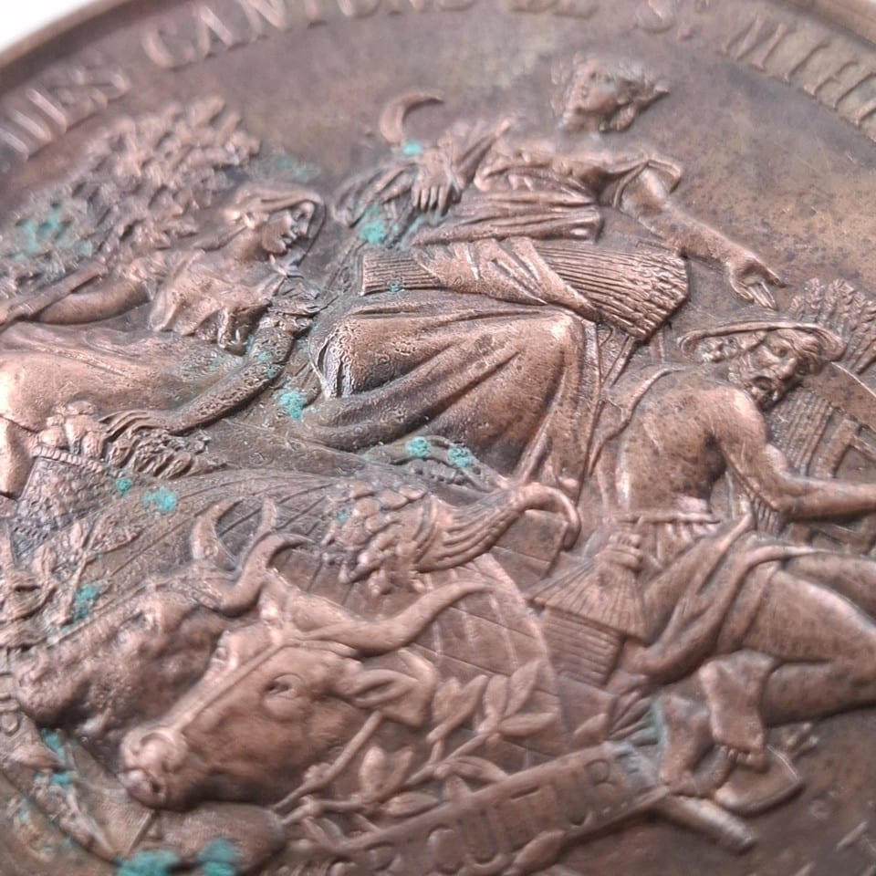 Médaille RECOMPENSE FLEURS 1884 grand format  COMITE d’AGRICULTURE — photo 4