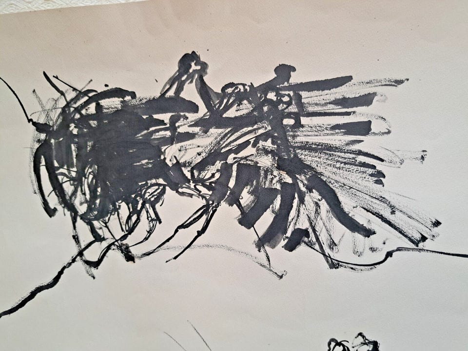 TABLEAU DESSIN ENCRE ( N °1 ) Exquise de sauterelles H 65 X L 50 CM — photo 5