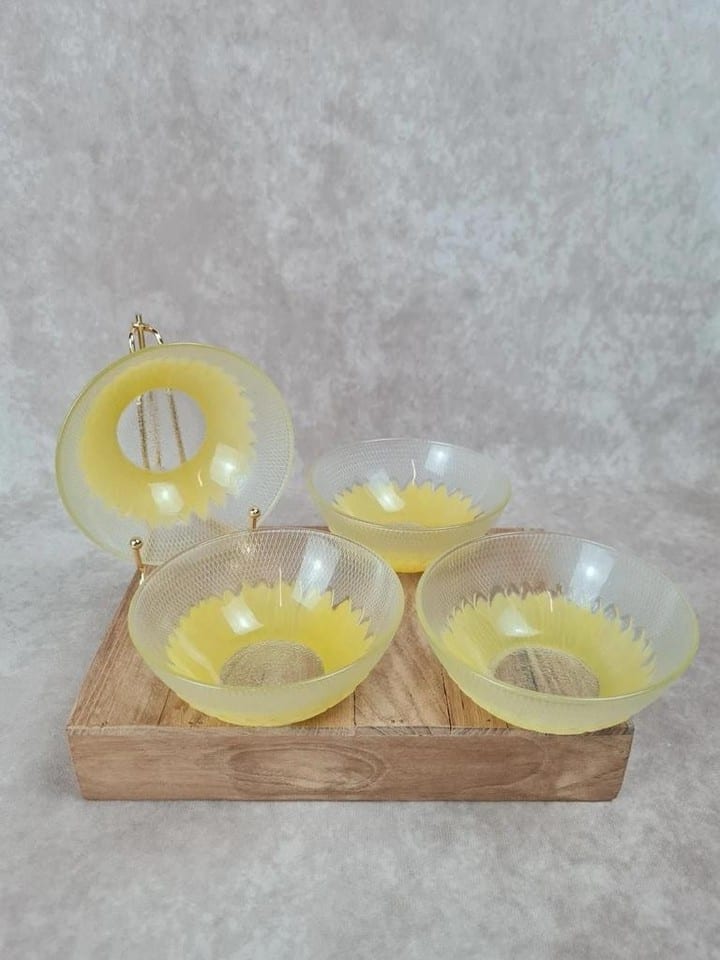 Lot de 4 bols vintage en verre Pasari
