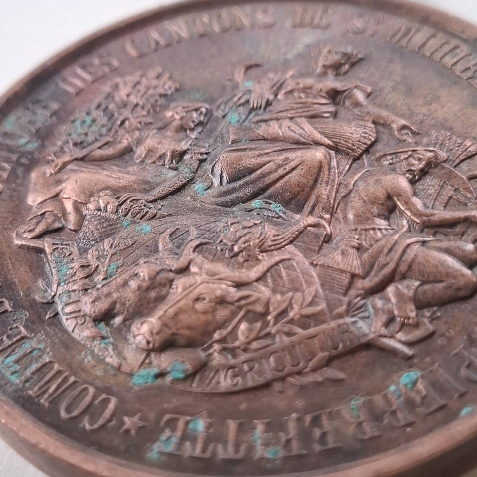 Médaille RECOMPENSE FLEURS 1884 grand format  COMITE d’AGRICULTURE — photo 3