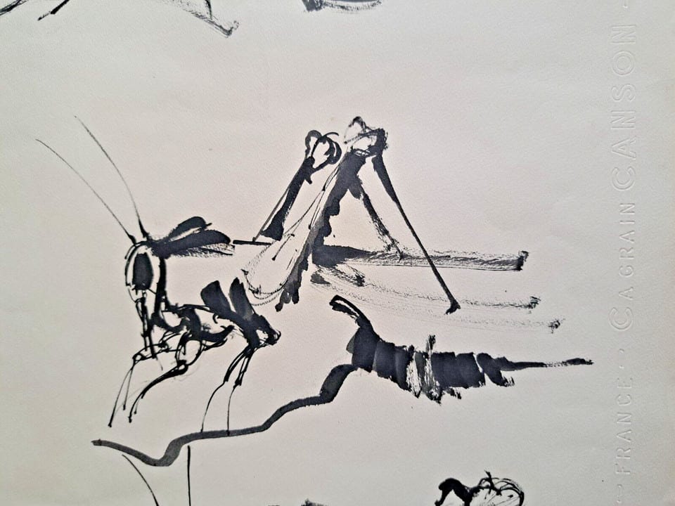 TABLEAU DESSIN ENCRE ( N °1 ) Exquise de sauterelles H 65 X L 50 CM — photo 4