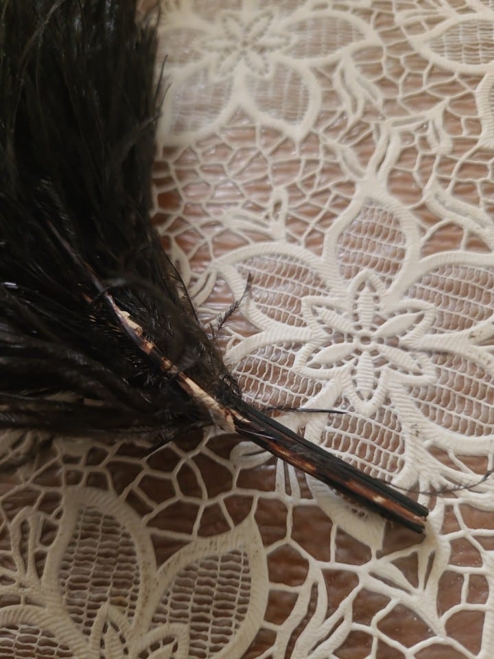 Plume D Autruche — photo 3