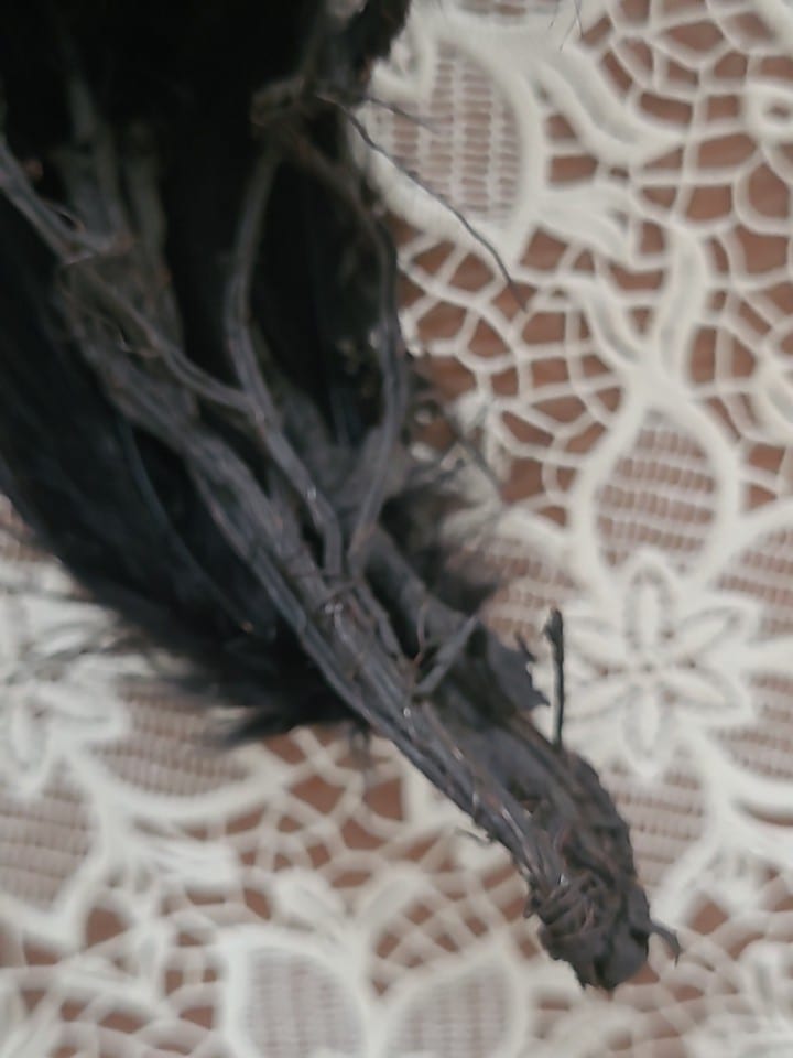 Plumes De Coq  Noires Assenblées a la base — photo 5