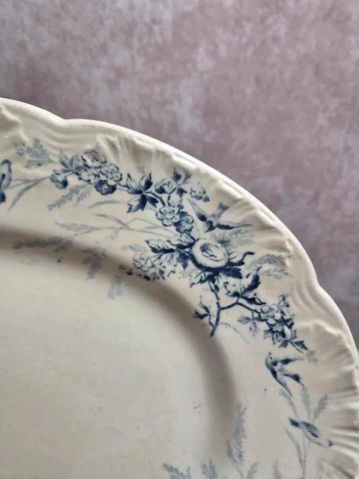 Grand plat ovale Terre de Fer Creil et Montereau Linotte – Xixe — photo 2