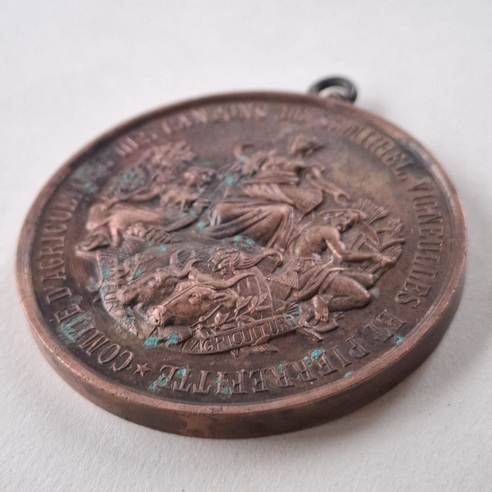 Médaille RECOMPENSE FLEURS 1884 grand format  COMITE d’AGRICULTURE — photo 2