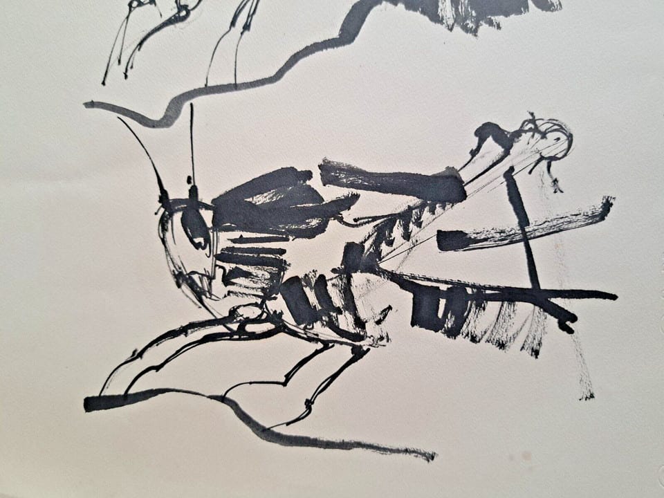 TABLEAU DESSIN ENCRE ( N °1 ) Exquise de sauterelles H 65 X L 50 CM — photo 3