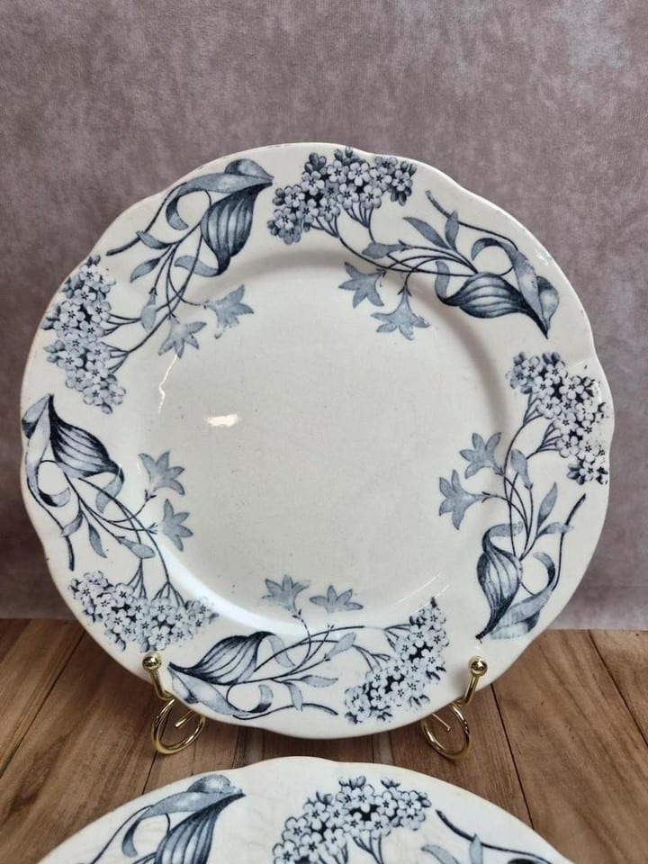 Lot de 2 assiettes terre de fer Longchamp modèle Lila Art nouveau 22 cm — photo 2