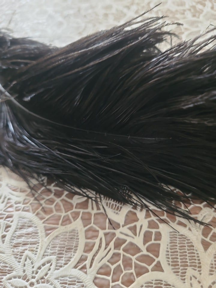 Plume D Autruche — photo 5