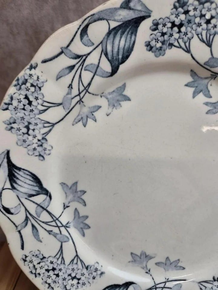 Lot de 2 assiettes terre de fer Longchamp modèle Lila Art nouveau 22 cm — photo 6