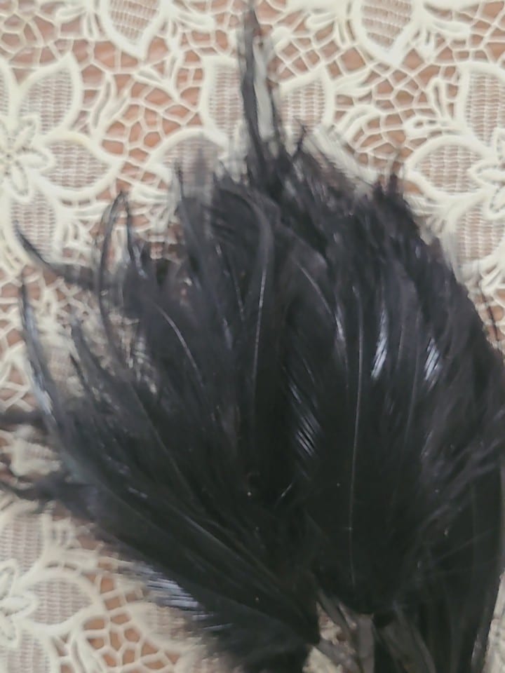 Plumes De Coq  Noires Assenblées a la base — photo 2