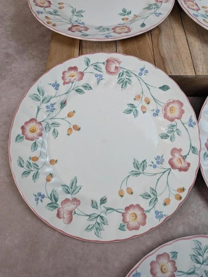 Lot de 5 assiettes plates Churchill Briar Rose – Faïence anglaise vintage — photo 4