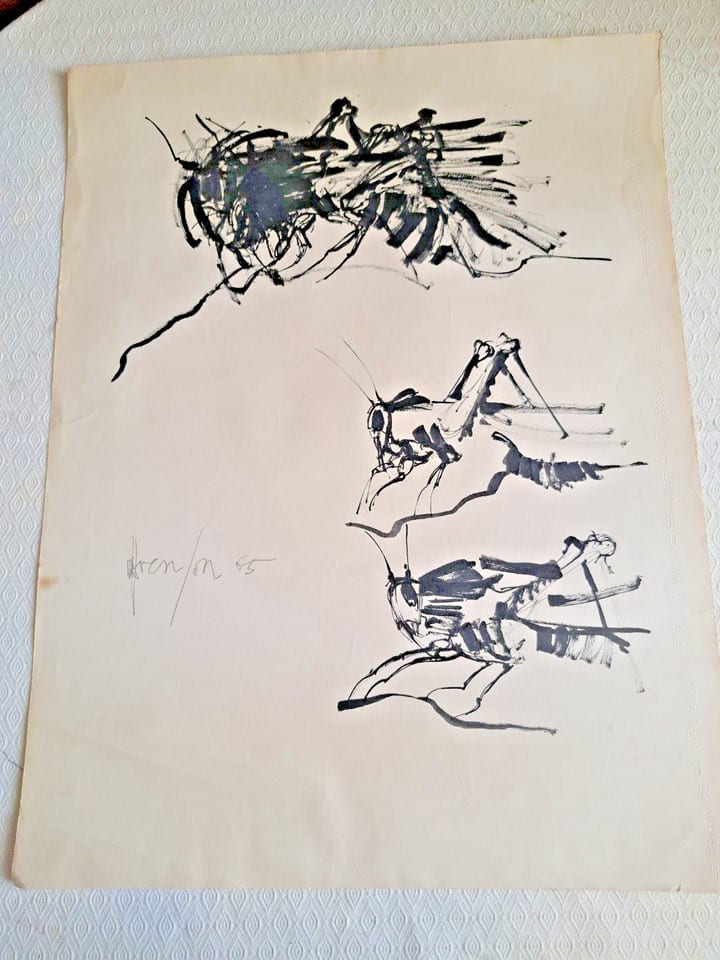 TABLEAU DESSIN ENCRE ( N °1 ) Exquise de sauterelles H 65 X L 50 CM