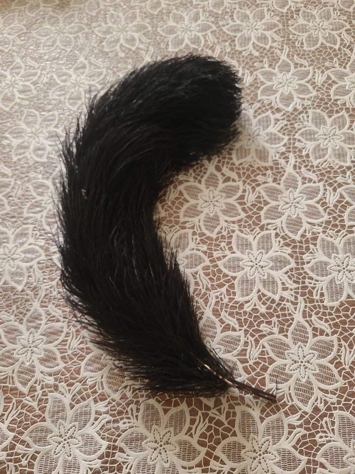 Plume D Autruche — photo 2