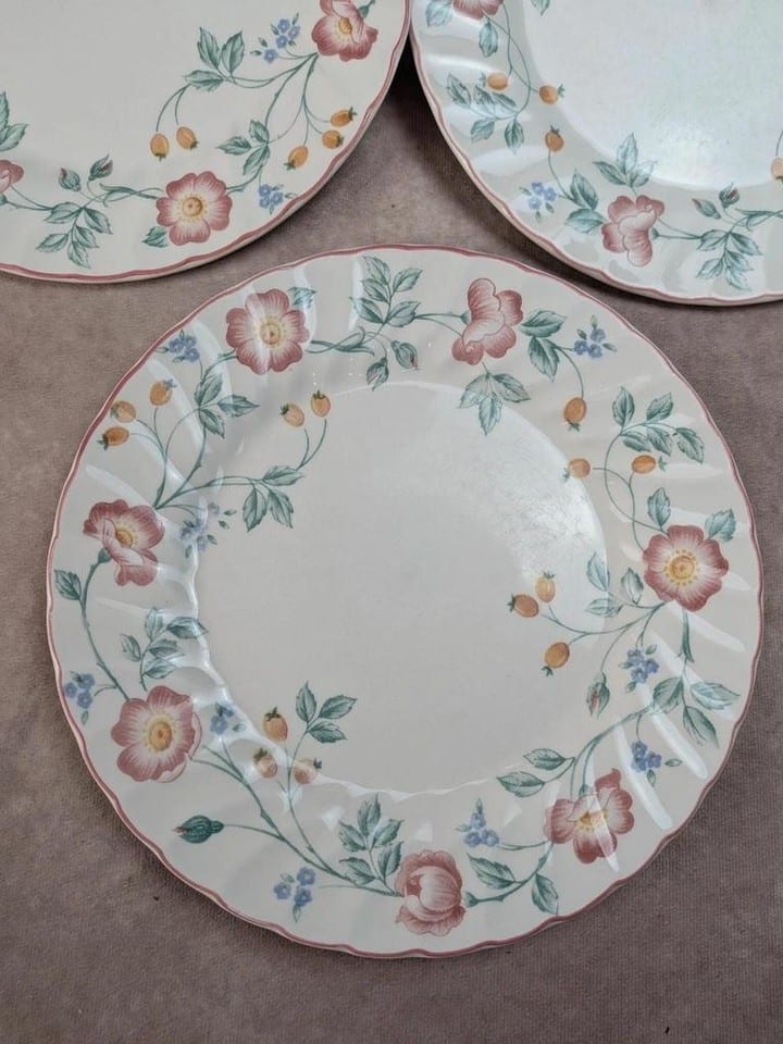 Lot de 5 assiettes plates Churchill Briar Rose – Faïence anglaise vintage — photo 3