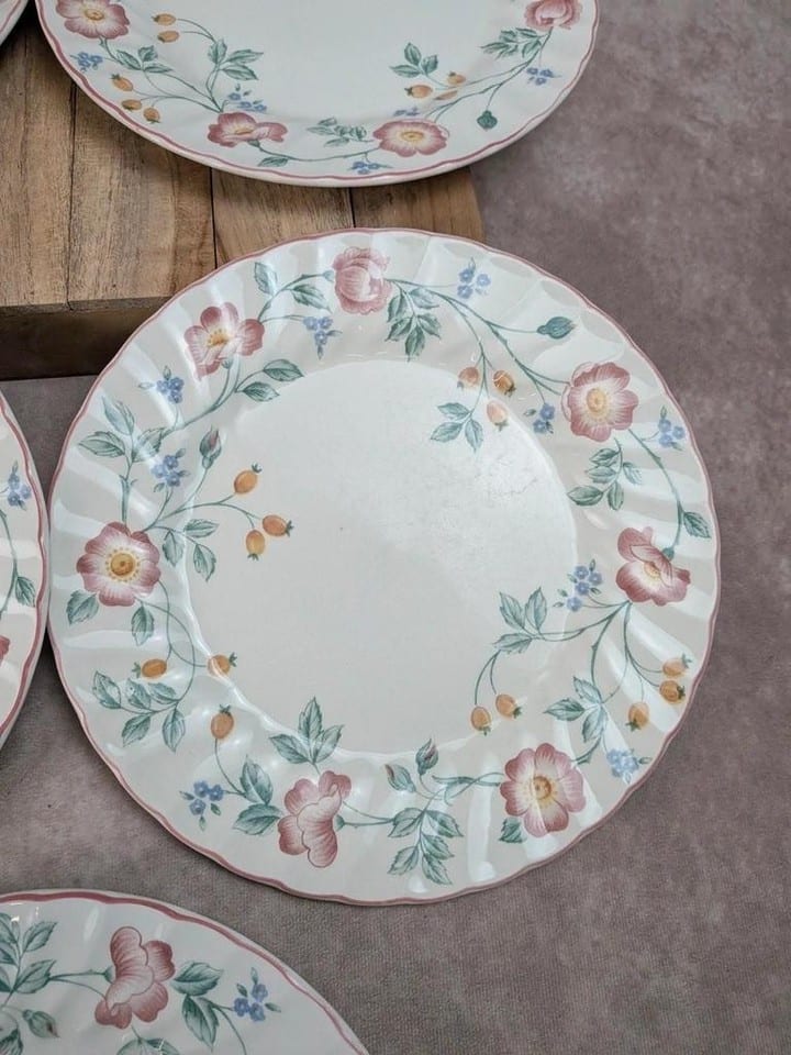 Lot de 5 assiettes plates Churchill Briar Rose – Faïence anglaise vintage — photo 7