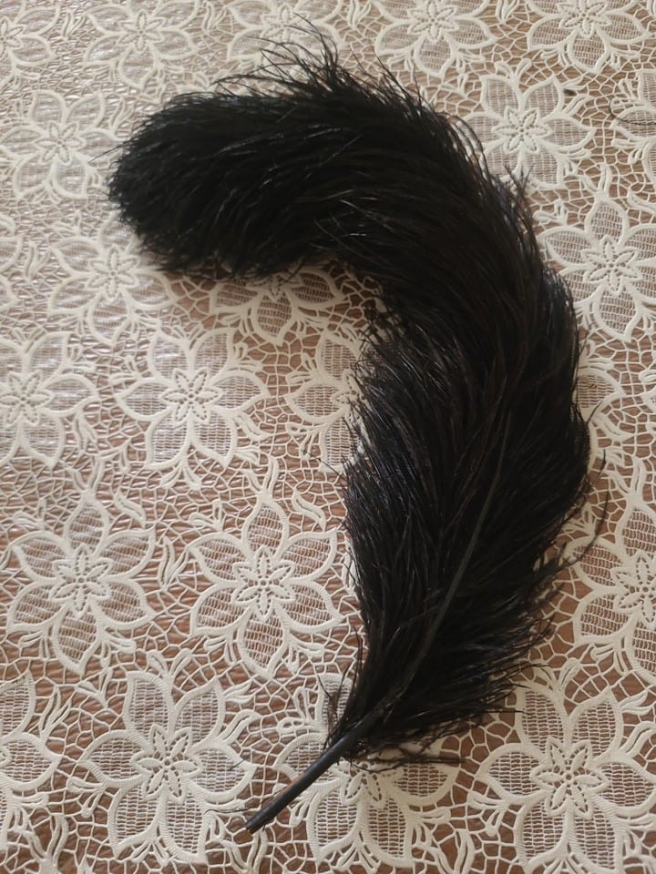 Plume D Autruche