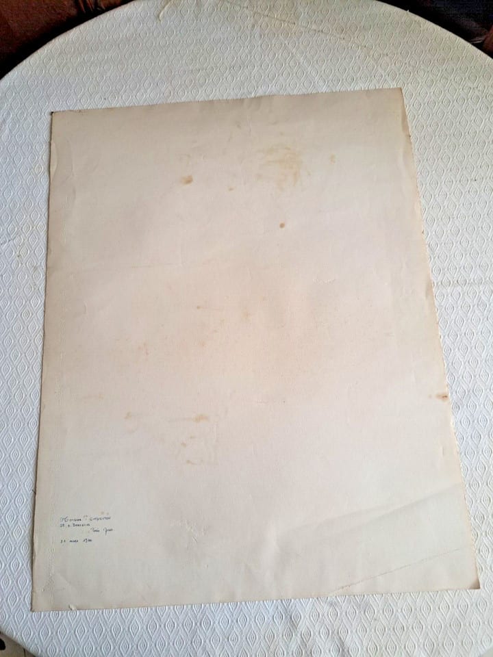 TABLEAU DESSIN ENCRE ( N °1 ) Exquise de sauterelles H 65 X L 50 CM — photo 7
