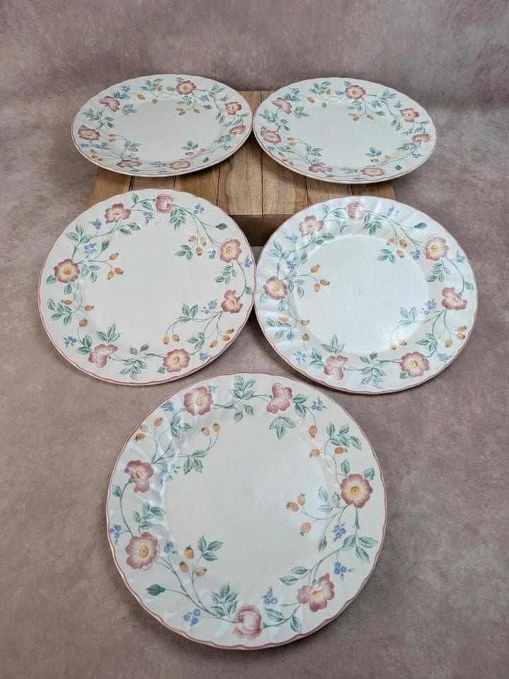 Lot de 5 assiettes plates Churchill Briar Rose – Faïence anglaise vintage — photo 2
