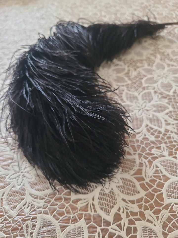 Plume D Autruche — photo 6