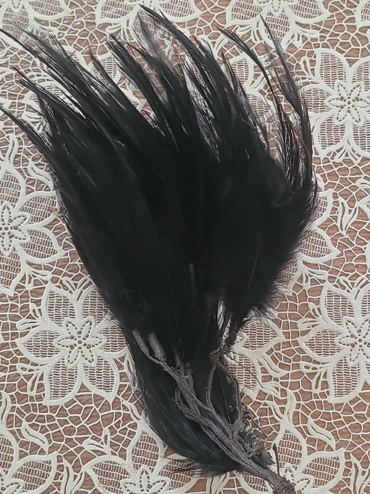Plumes De Coq  Noires Assenblées a la base — photo 4