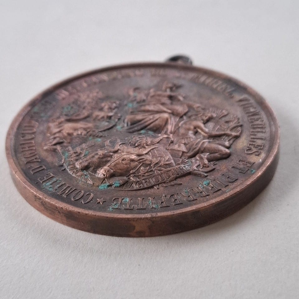 Médaille RECOMPENSE FLEURS 1884 grand format  COMITE d’AGRICULTURE — photo 5