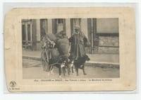 C.P.A / THÈME / EN SOLOGNE / LE MARCHAND DE CHIFFONS / LES VOITURES A CHIENS