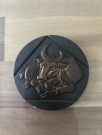 médaille bronze monnaie de paris « Luc »