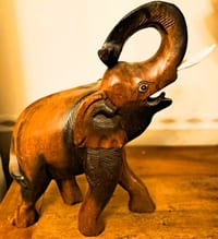 Sculpture en bois d'un Éléphant trompe levée haut 38 larg 35 prof 16 cm