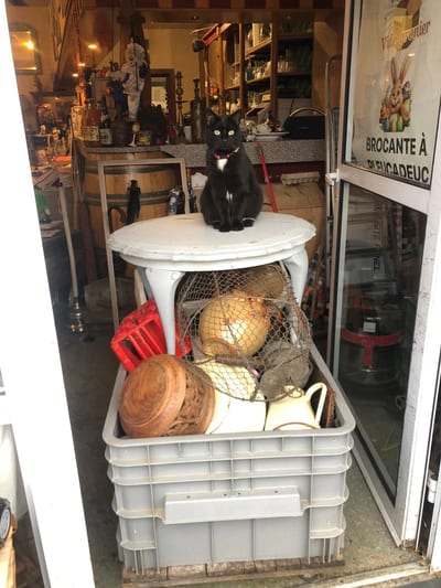 PLEUCABROC — brocanteur à Pleucadeuc