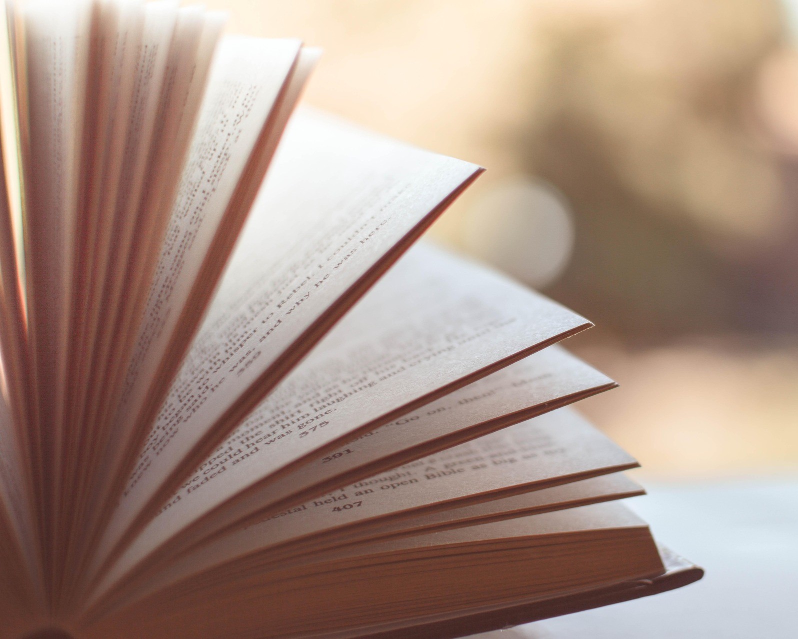 La grande braderie Lire et faire lire