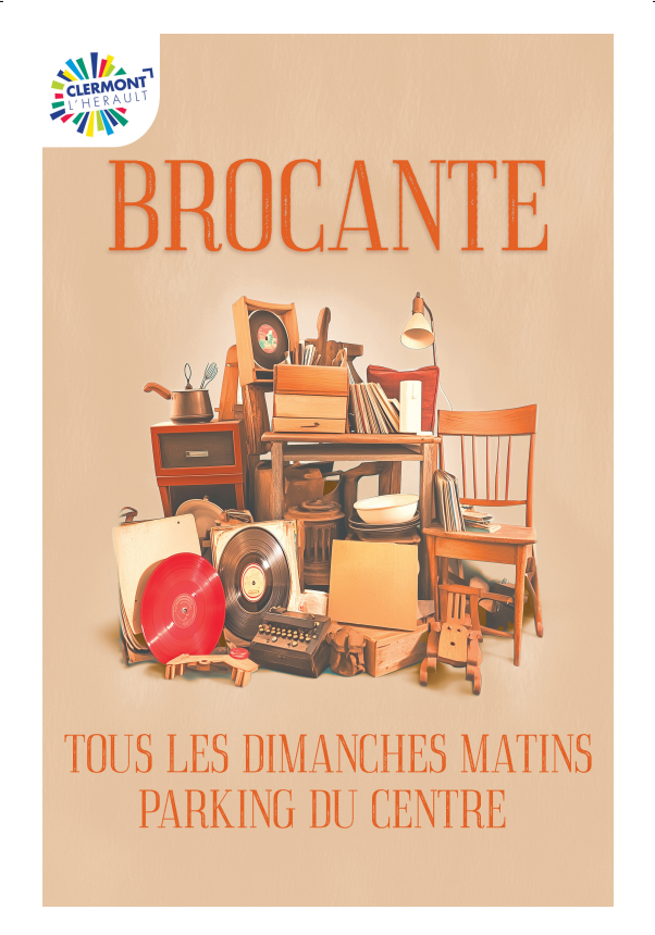 LES BROCANTES DE M. LOULOU