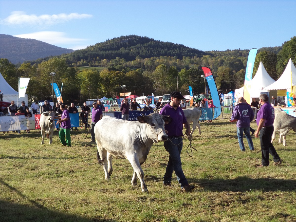 FOIRE DÉPARTEMENTALE DE L'ÉLEVAGE