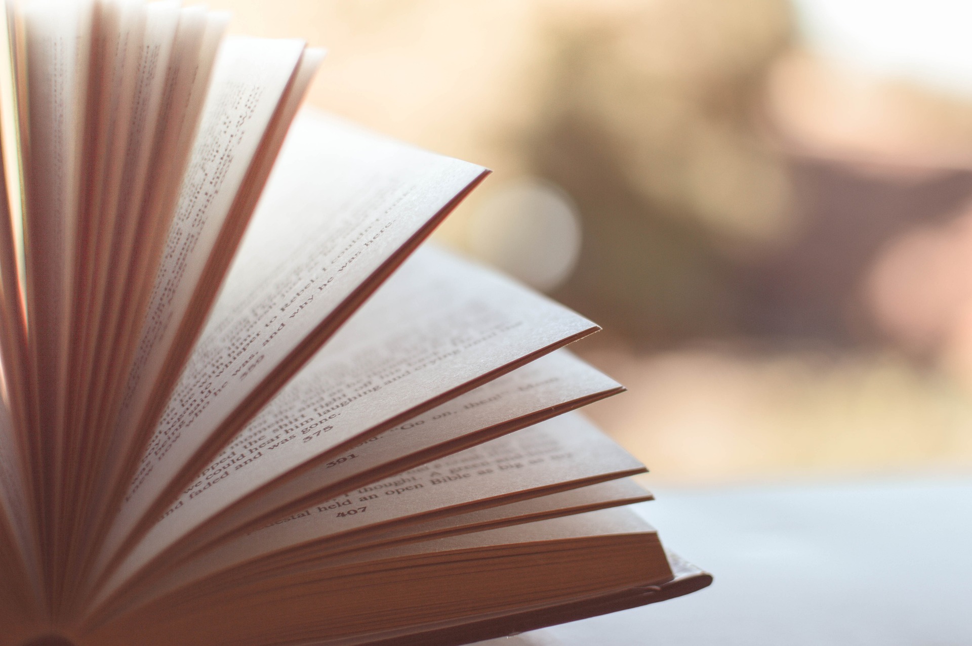 Vide grenier - Salon du livre