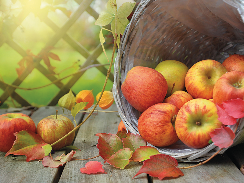 Fête de la pomme et de la châtaigne