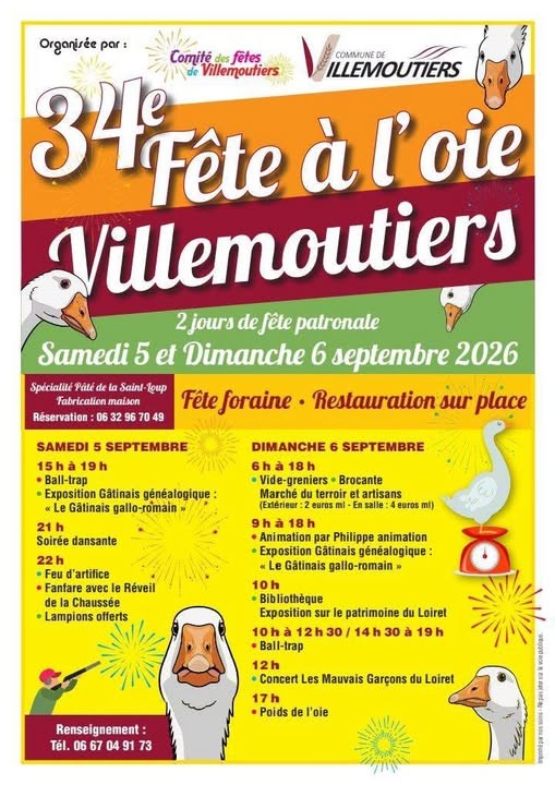 Fête à l'oie