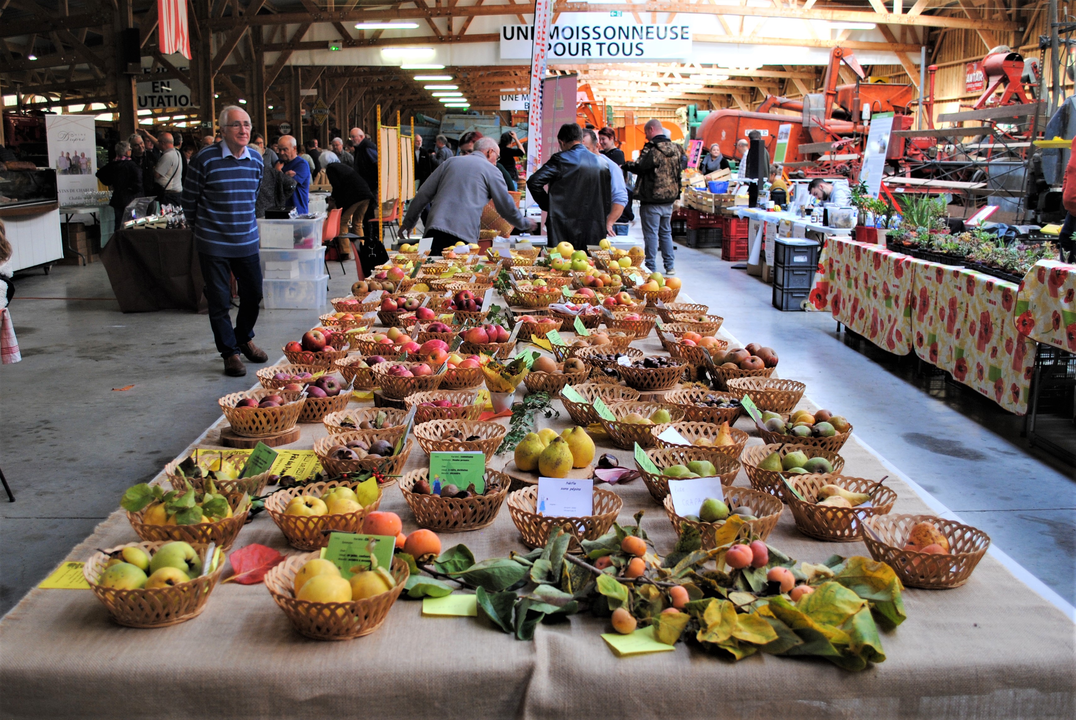 Marché du Terroir au MUMAR (Musée de la Machine Agricole) et vide-greniers