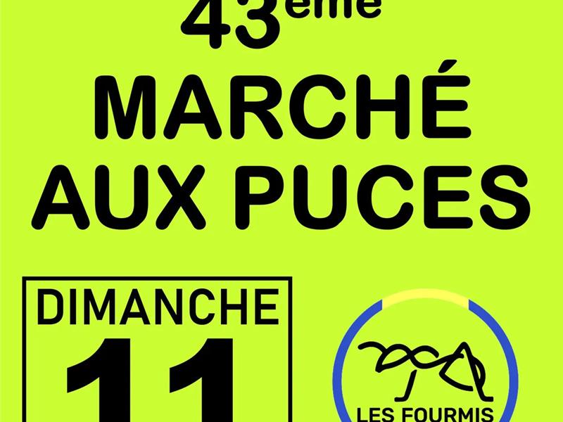 43ème marché aux puces de Fulleren